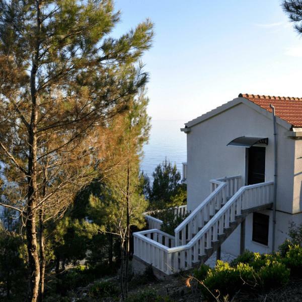 Villa Victor Babino Polje Екстер'єр фото